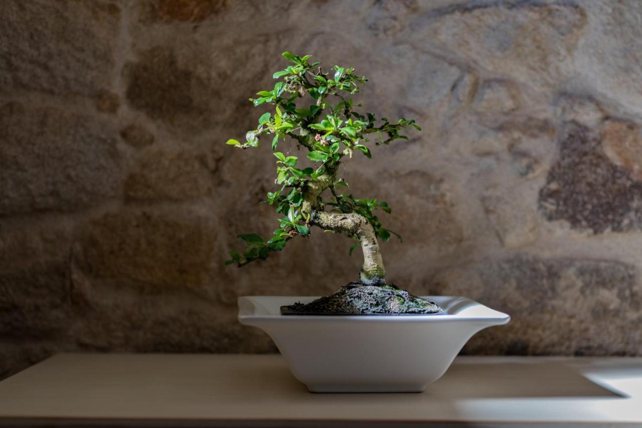 Casa De Sao Miguel Apartment Aldeia de Joao Pires ภายนอก รูปภาพ
